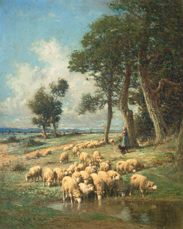 Extensive Landscape with Sheep