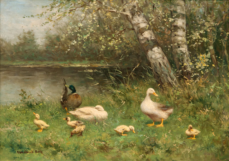 Ducks by the Water