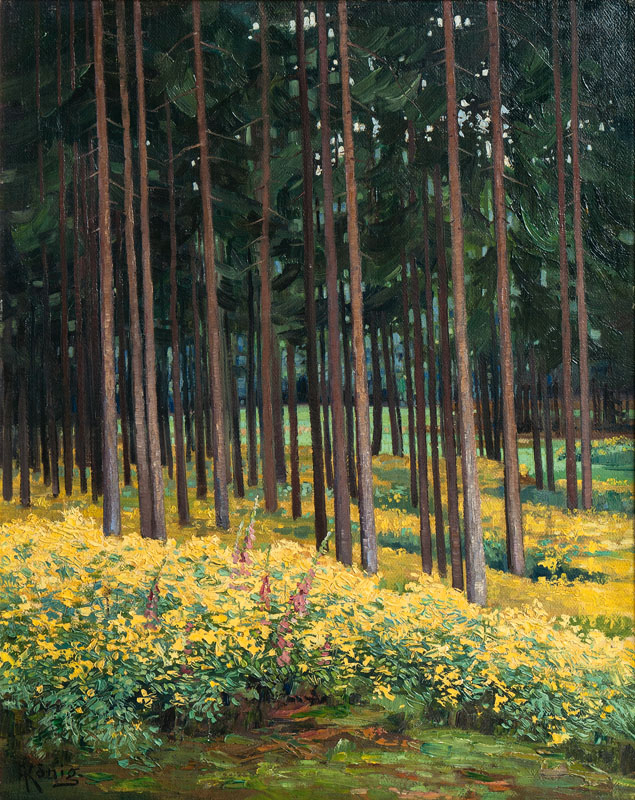 Blütenmeer im Wald
