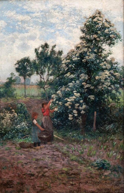 Girls picking Elderflowers