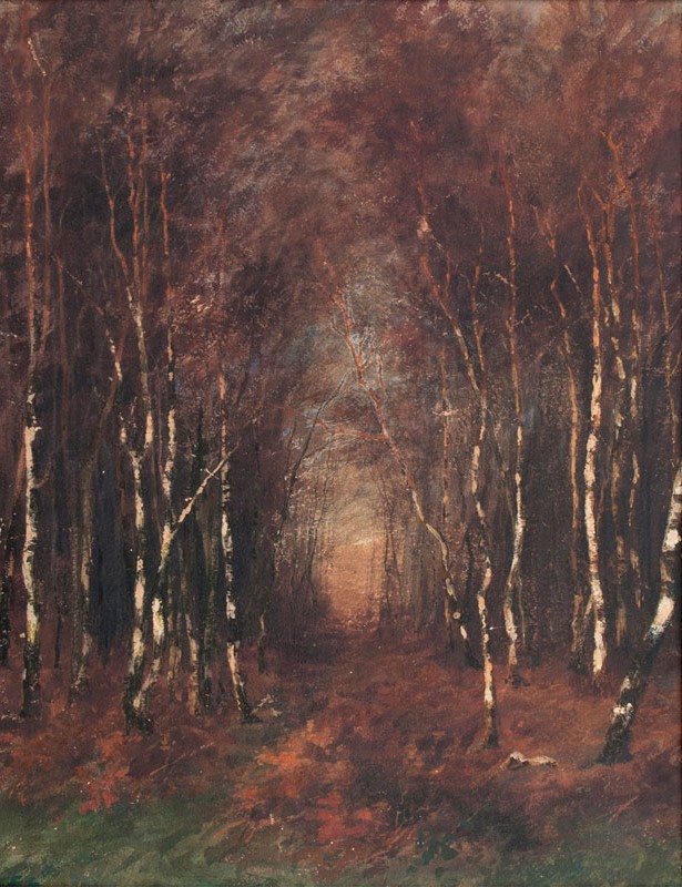 Birken im Herbstwald