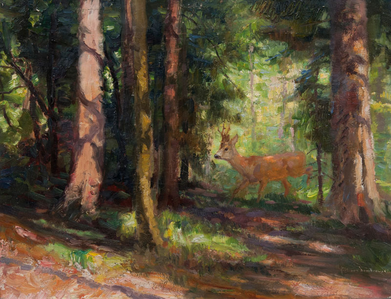 Deer on a Clearing