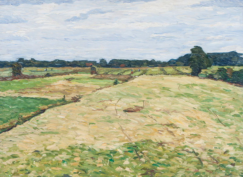 Fields in Summer