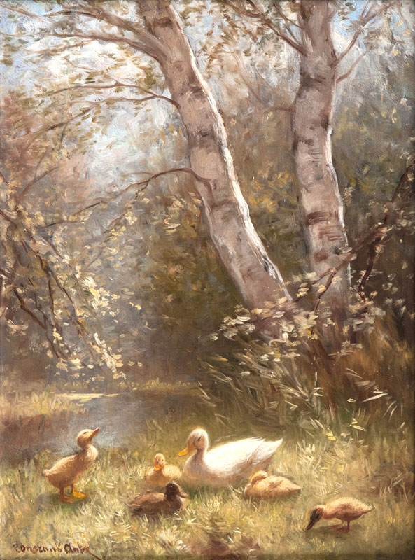 Duck Family resting under Birches