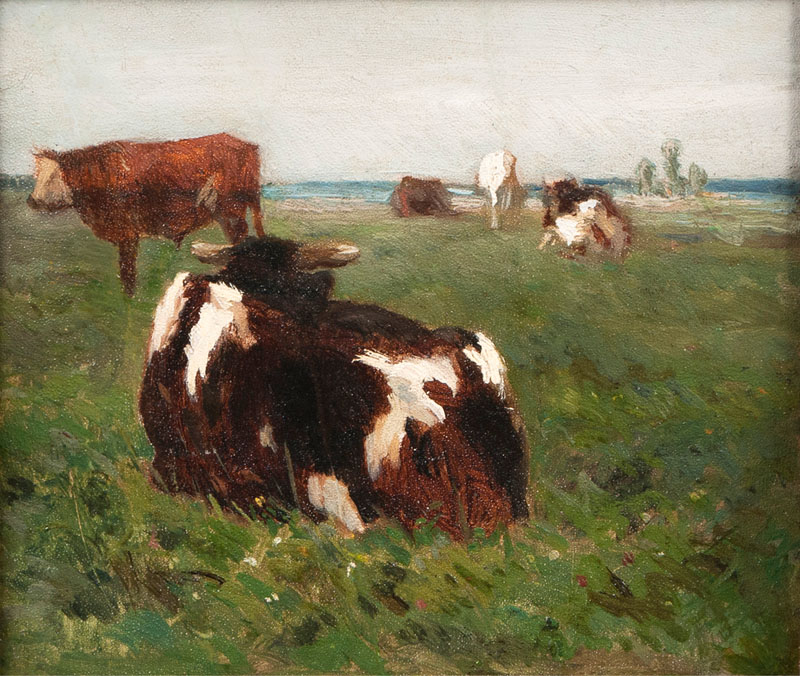 Cows