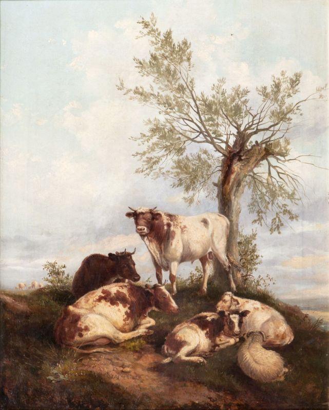 Rastende Schafe und Kühe