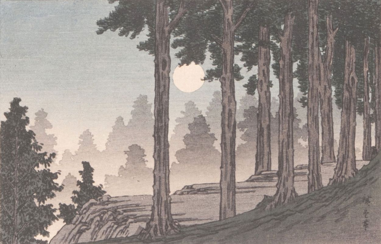 Full Moon over a Pine Wood