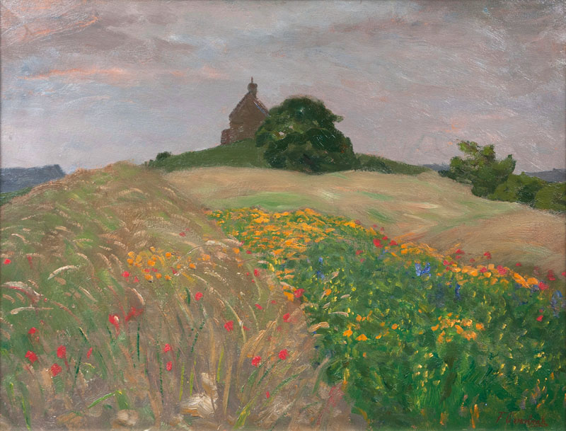 Flowers on the Fields