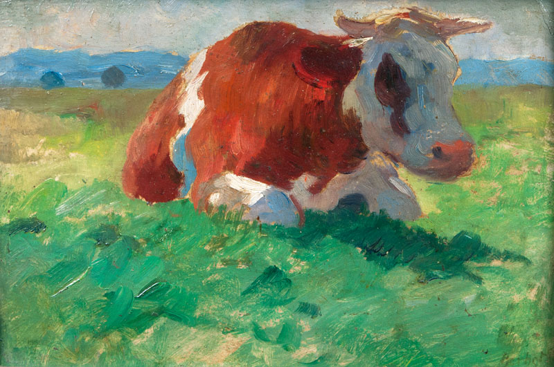 Resting Cow