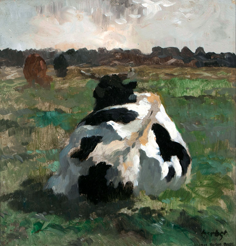 Ruhende Kuh von hinten