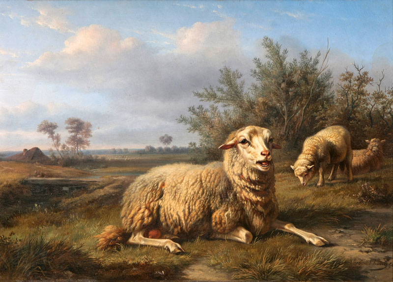 Schafe in weiter Landschaft