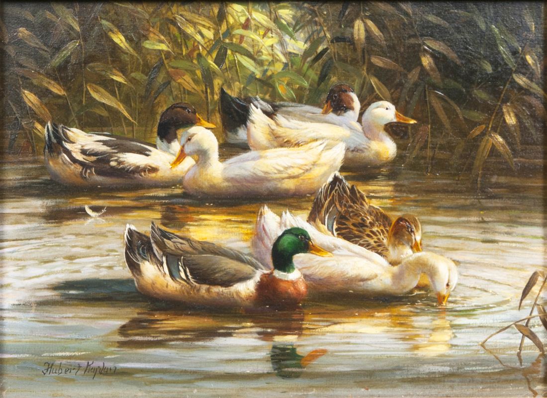 Ducks