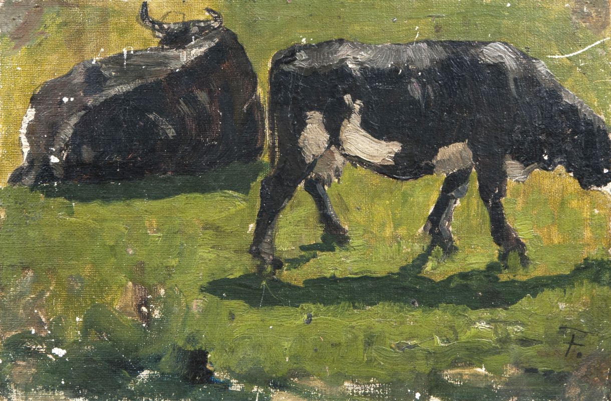 Two Cows