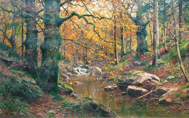 Bachlauf im Herbstwald