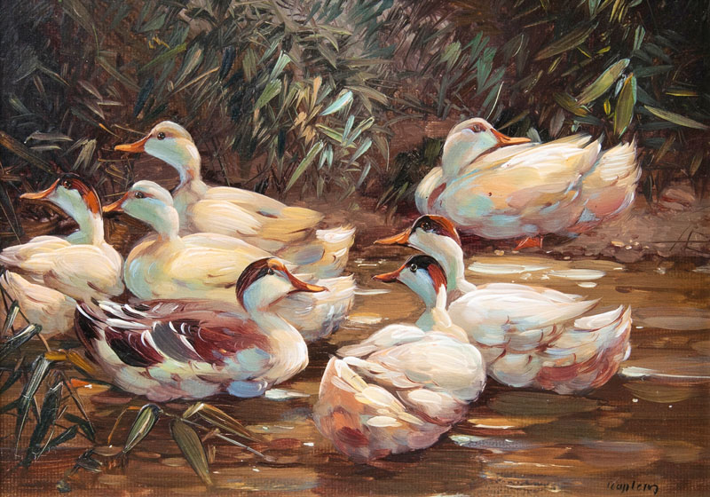 Seven Ducks