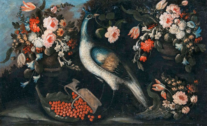 Peacock with Flowers and Fruits