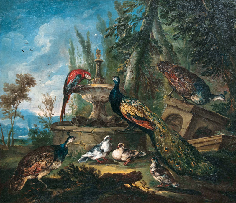 Pfaue, Tauben, Perlhuhn und ein Ara am Brunnen