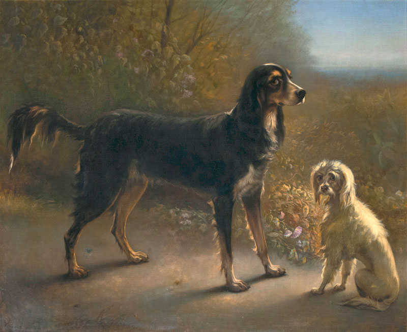 Two Dogs