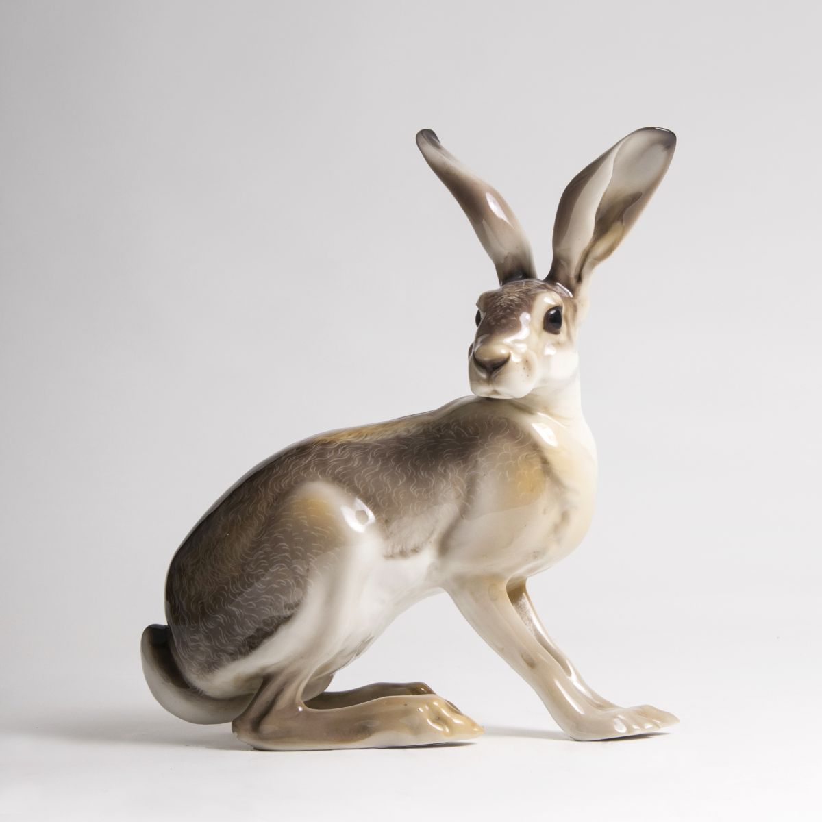 A sitting Rabbit