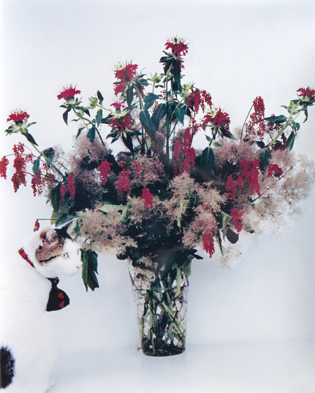 Chiro mit Blumen