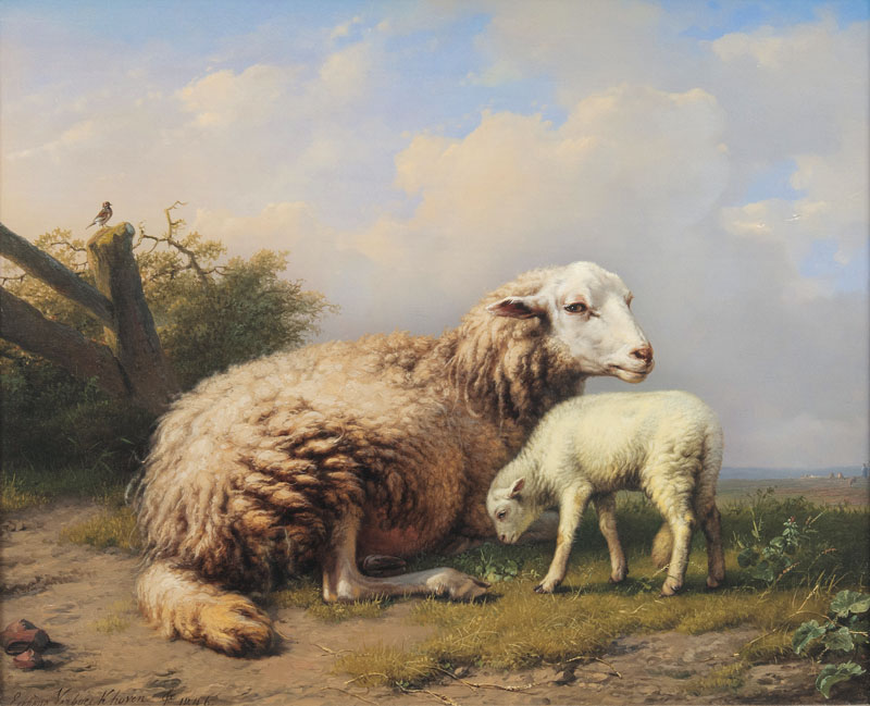 Lamb and Ewe