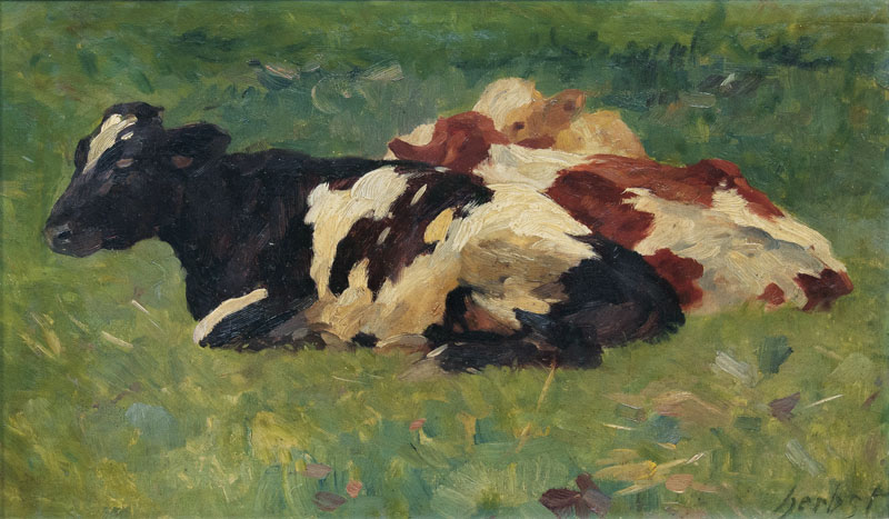 Three Resting Cows
