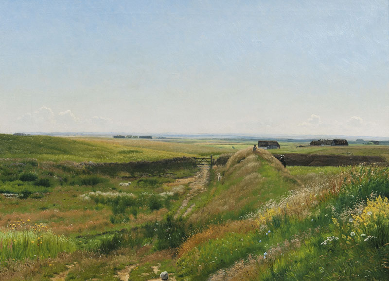 Danish Summer Landscape