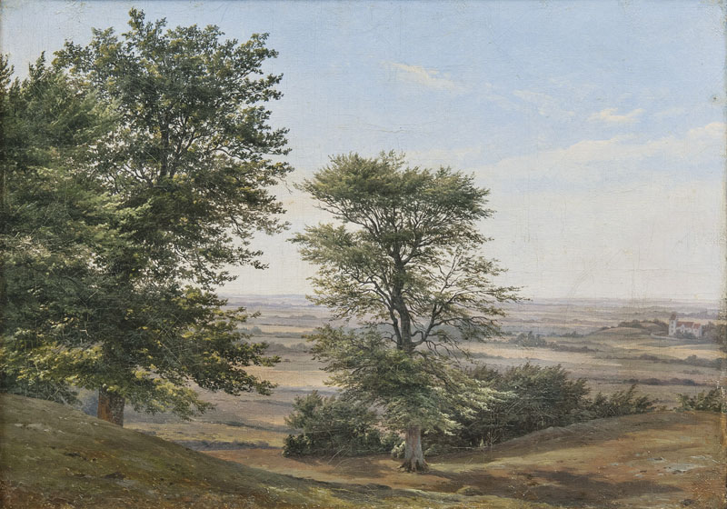 Swedish Landscape