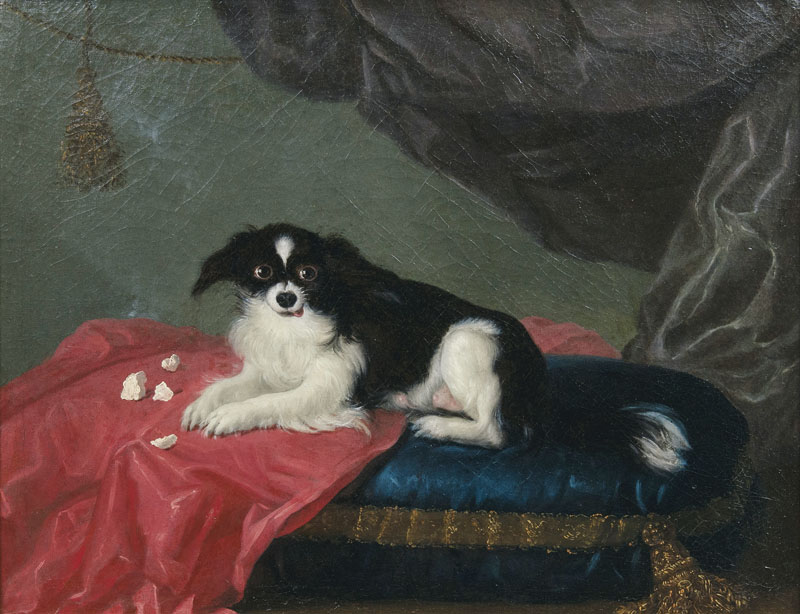 A Spaniel on a Cushion