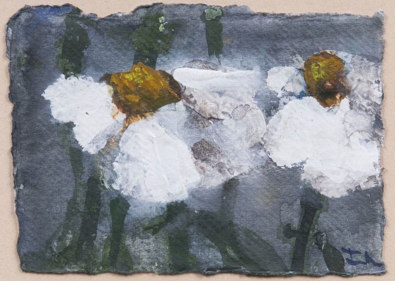 Marguerites