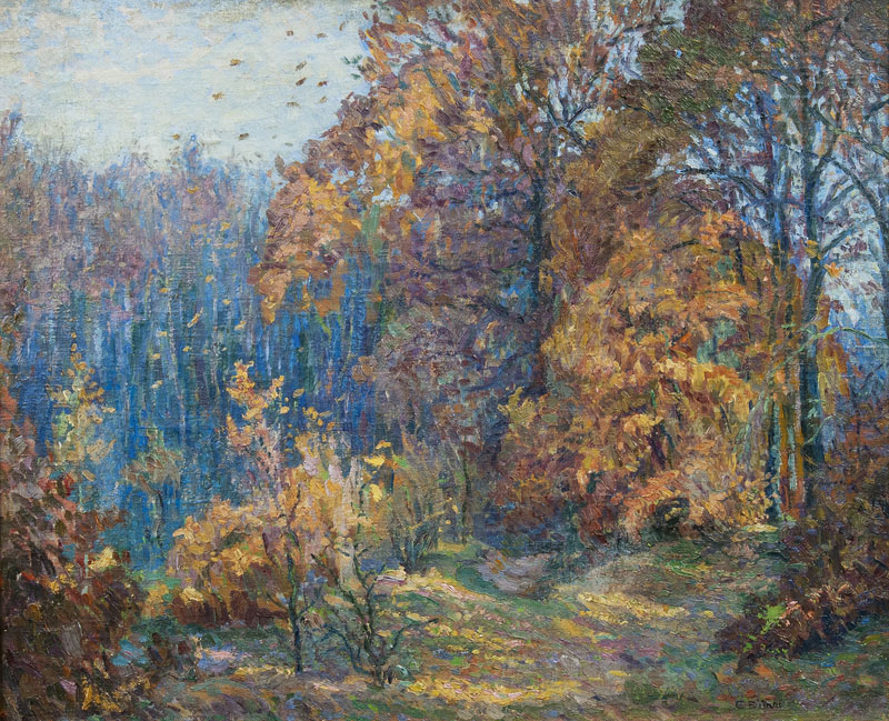 Forest in Autumn