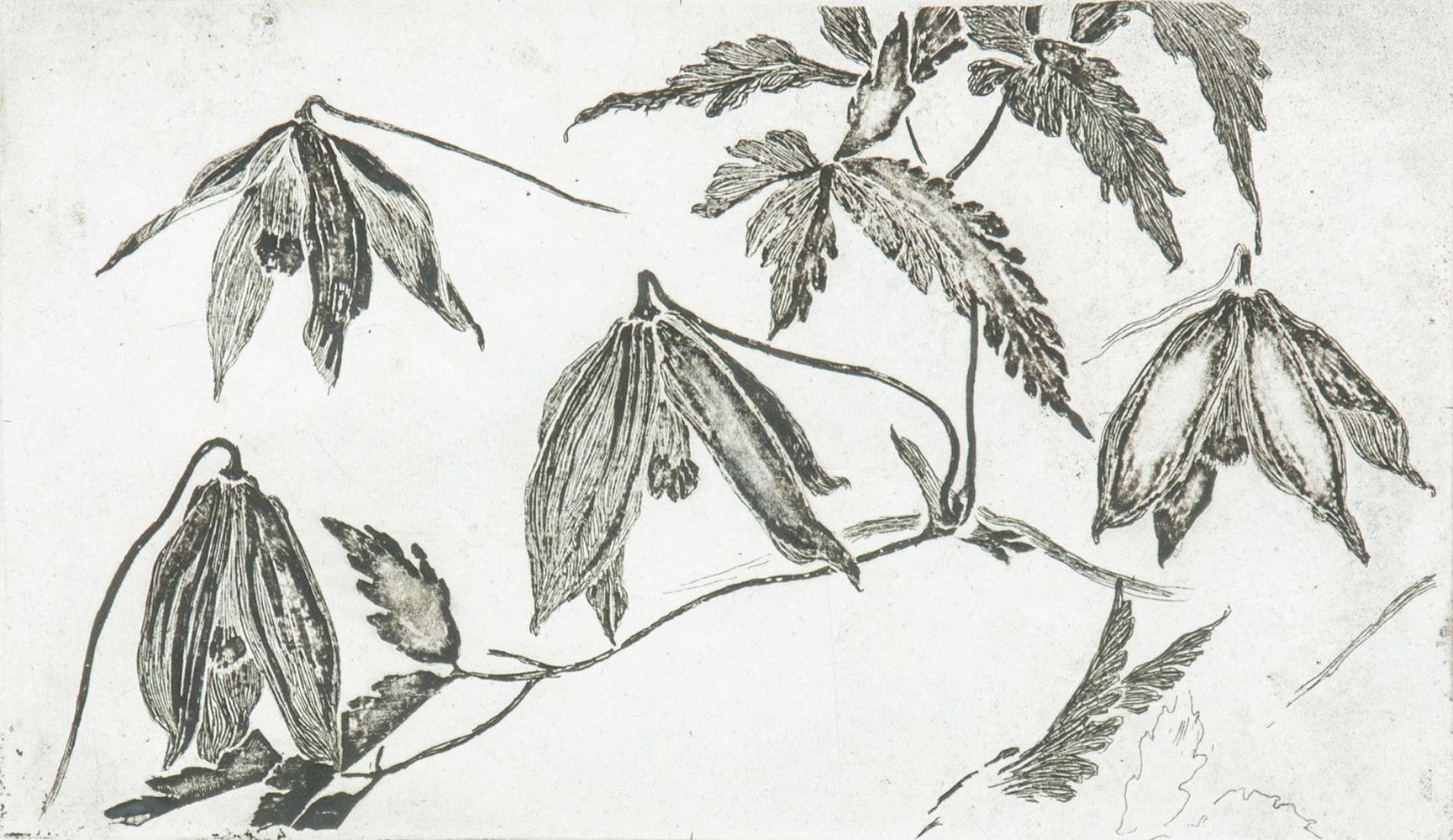 Four Prints with Flowers - image 2