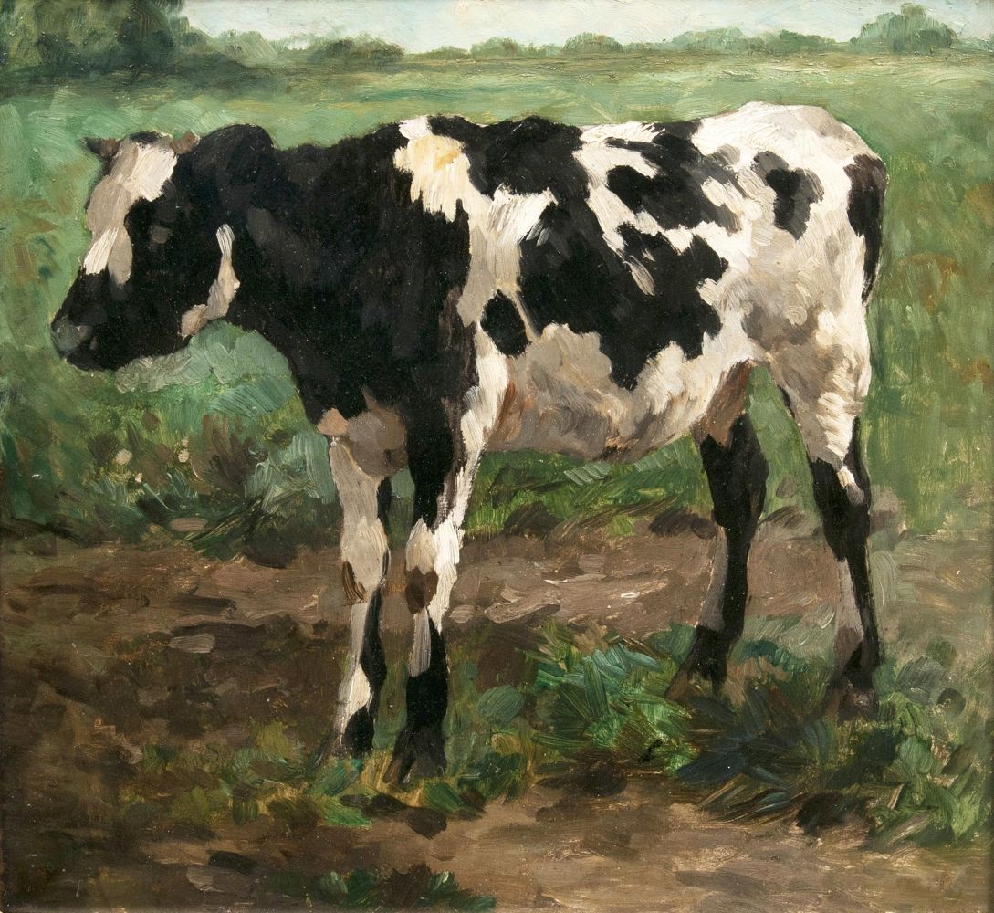 Standig Calf