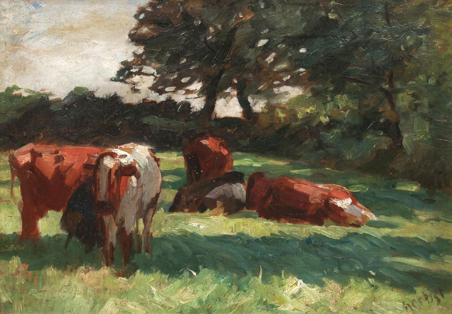 Cows