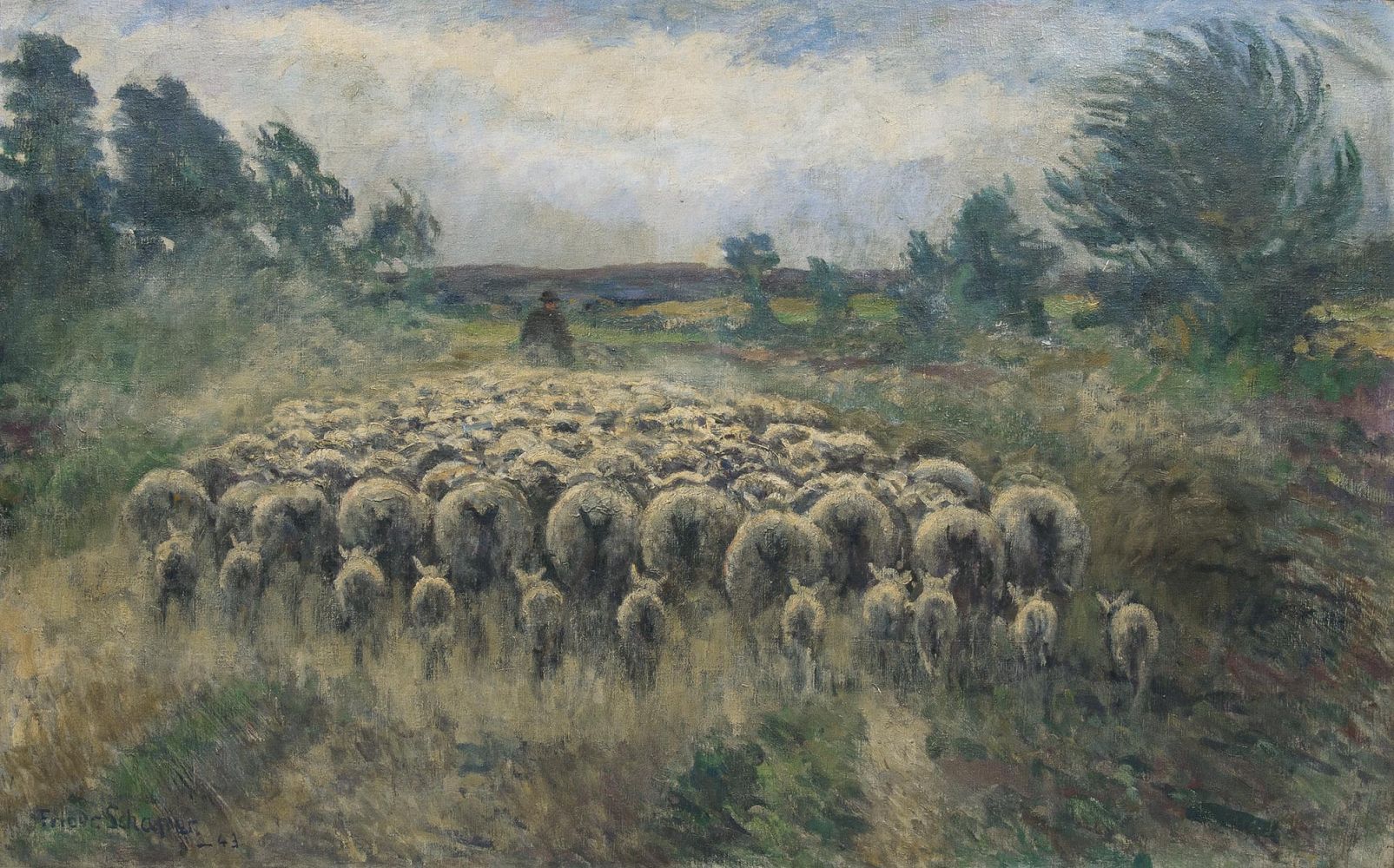 Flock of Sheep