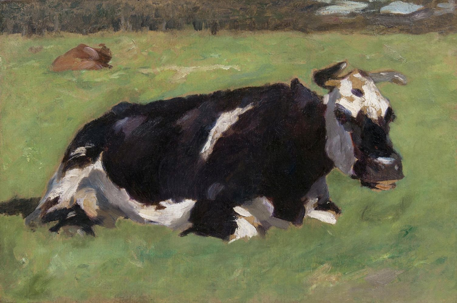 Resting Cow