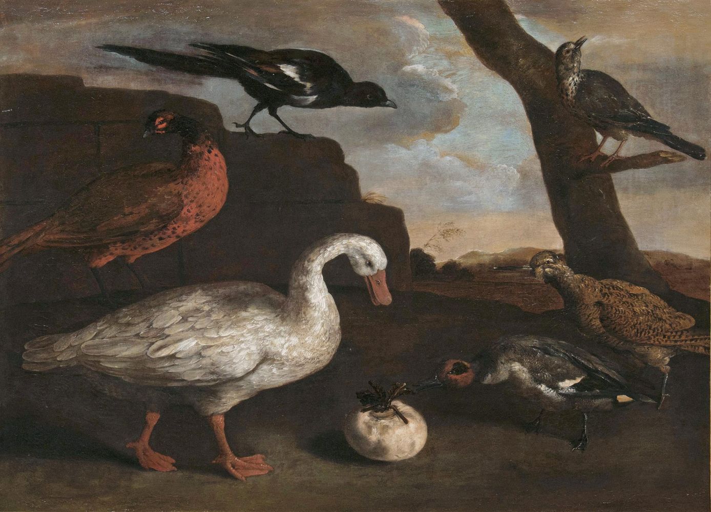 Vögel in einer Landschaft