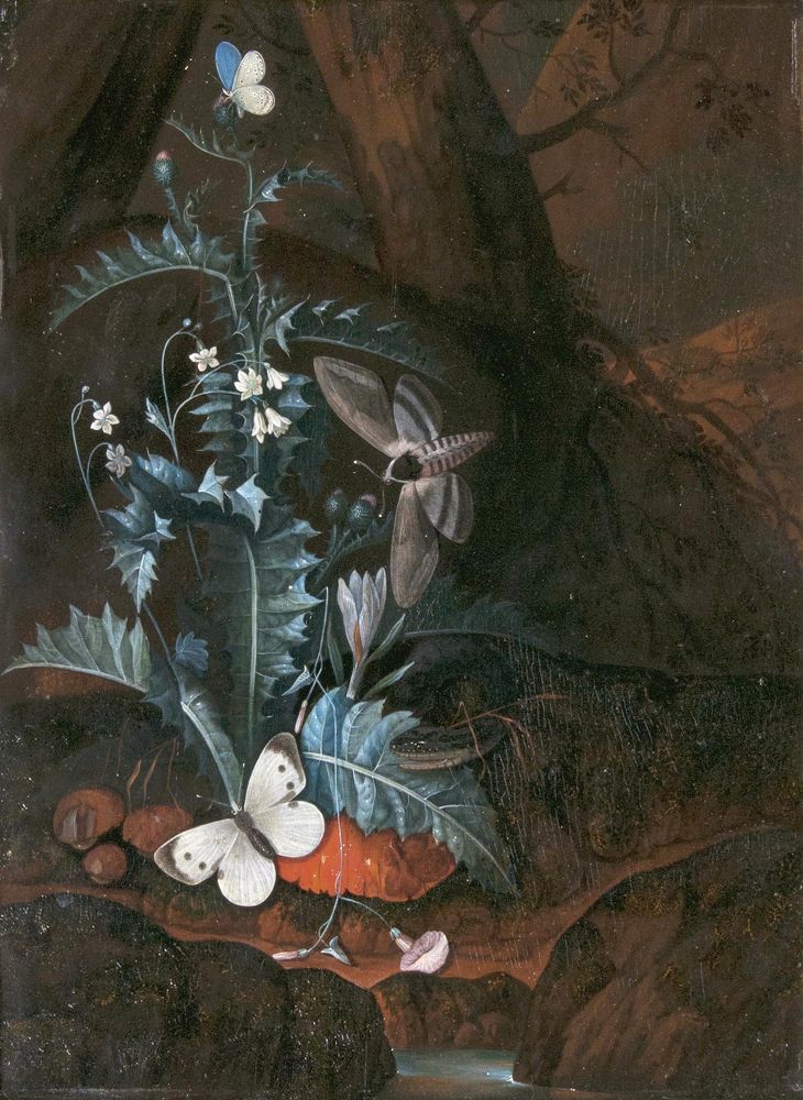 Charles William de Hamilton - Waldbodenstilleben mit Schlange, Schmetterlingen und Nachtfalter Waldbodenstilleben mit Schlange, Schmetterlingen und Nachtfalter