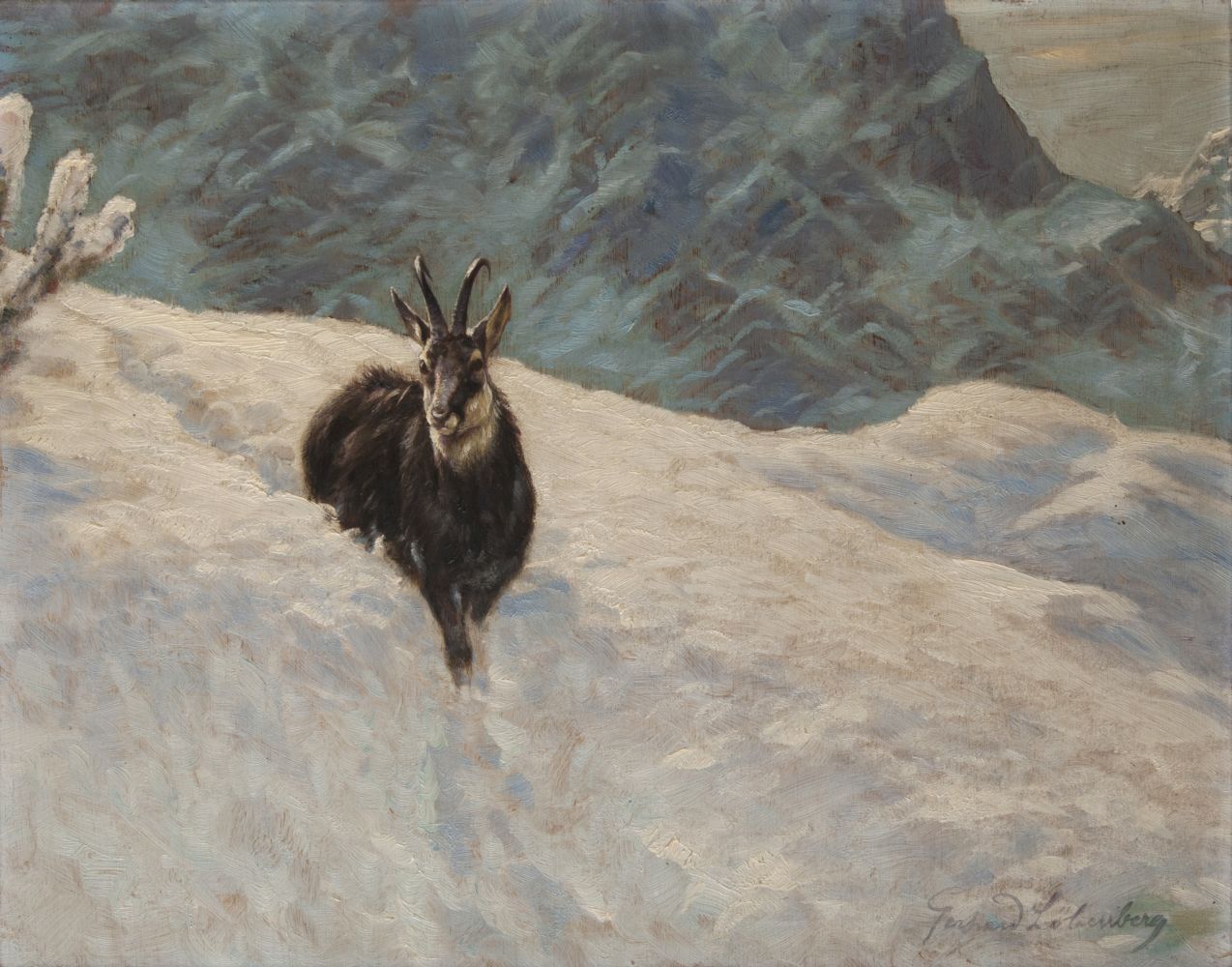 Gerhard Löbenberg - Gams im Schnee Gams im Schnee