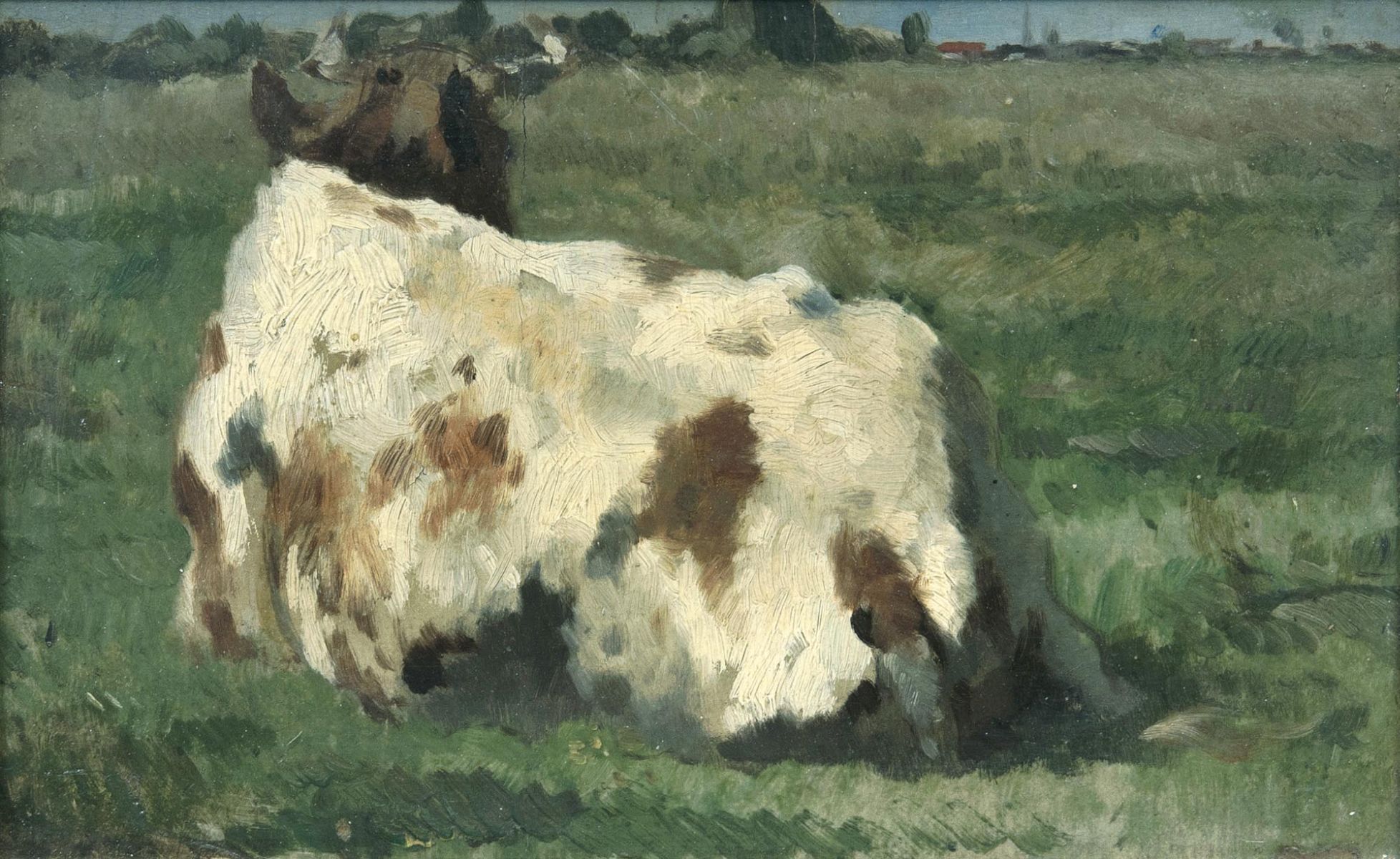 Resting Cow