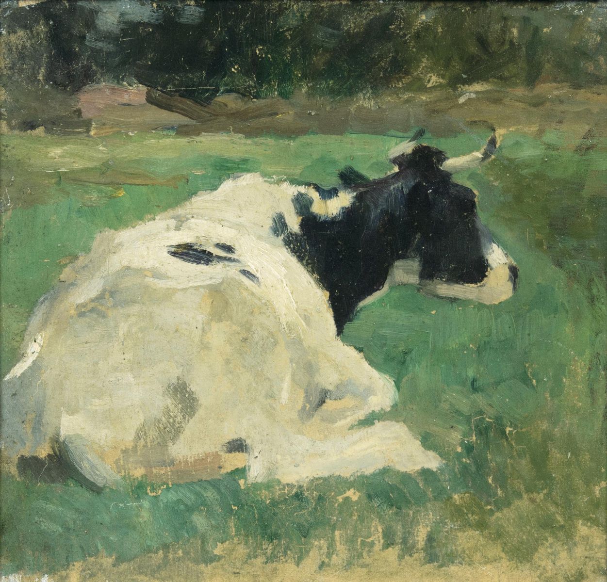 Resting Cow