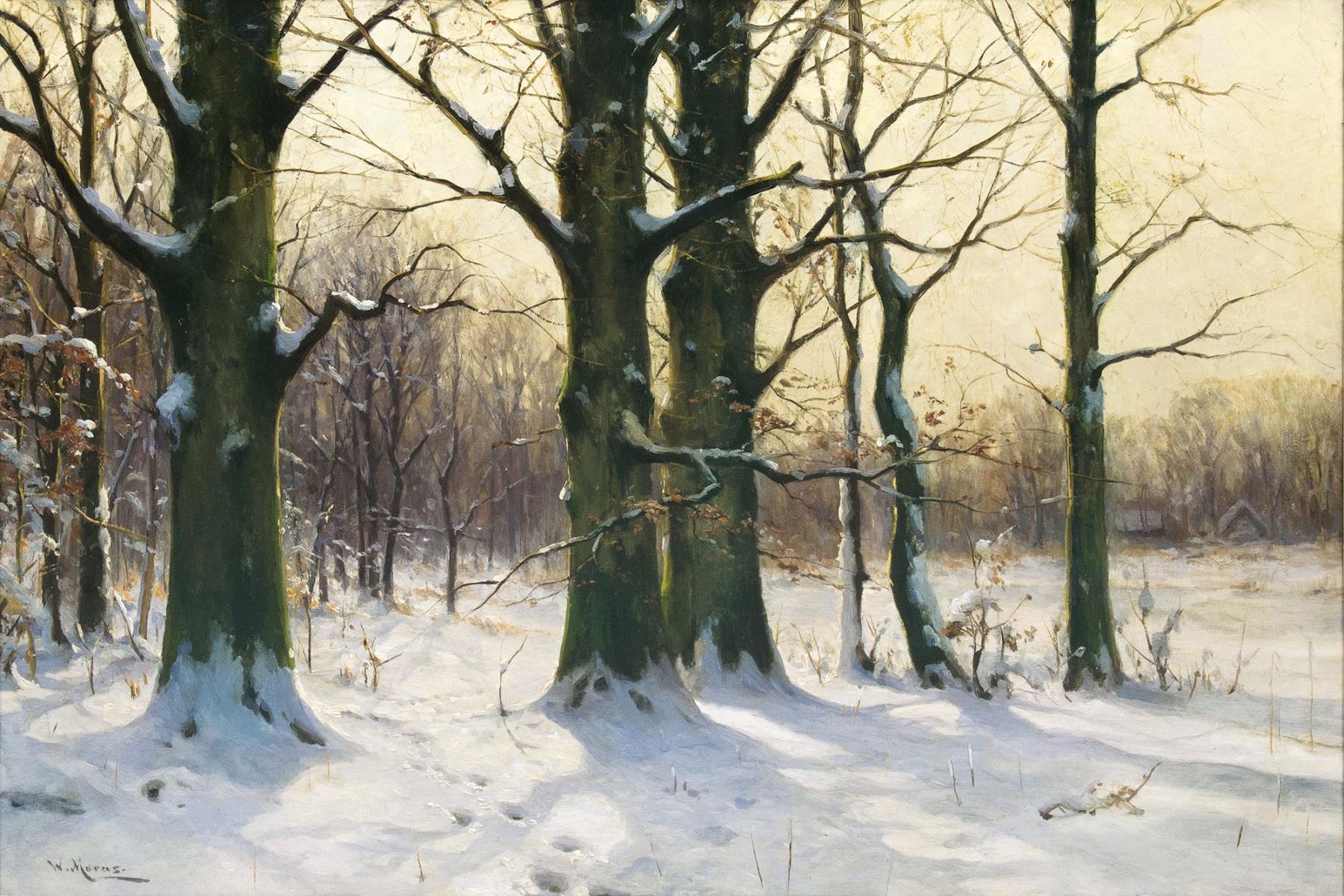 Winterwald