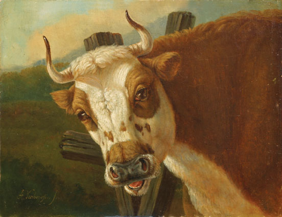 A bull's portrait at a grated gate, meadows beyond