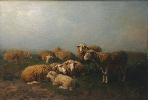 A flock of sheep early in the morning