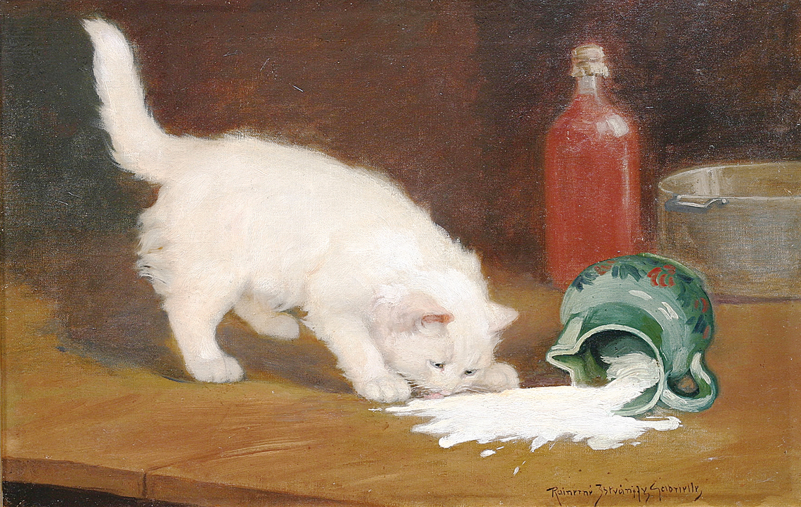 A cat, a cream jug and the consequences