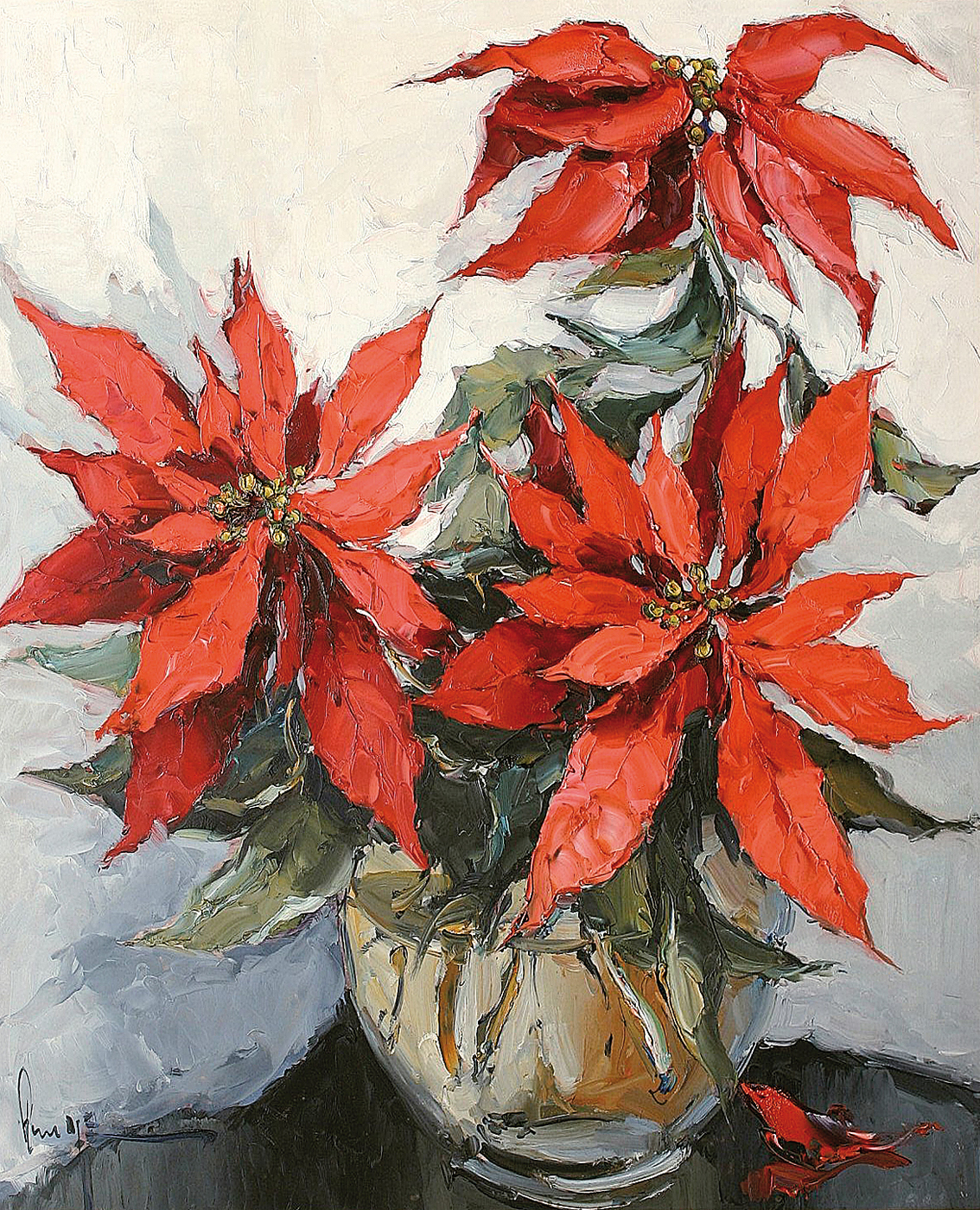 Jürgen Runge - Poinsettia Poinsettia