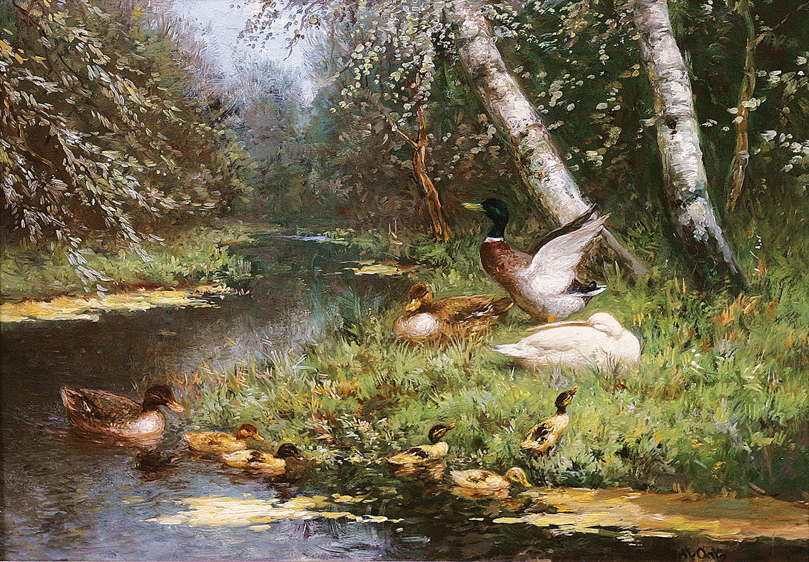 Ducks at the water