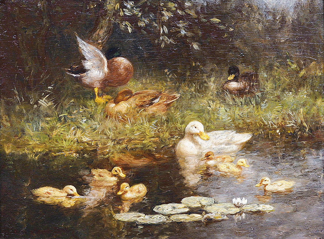 Ducks near a pond