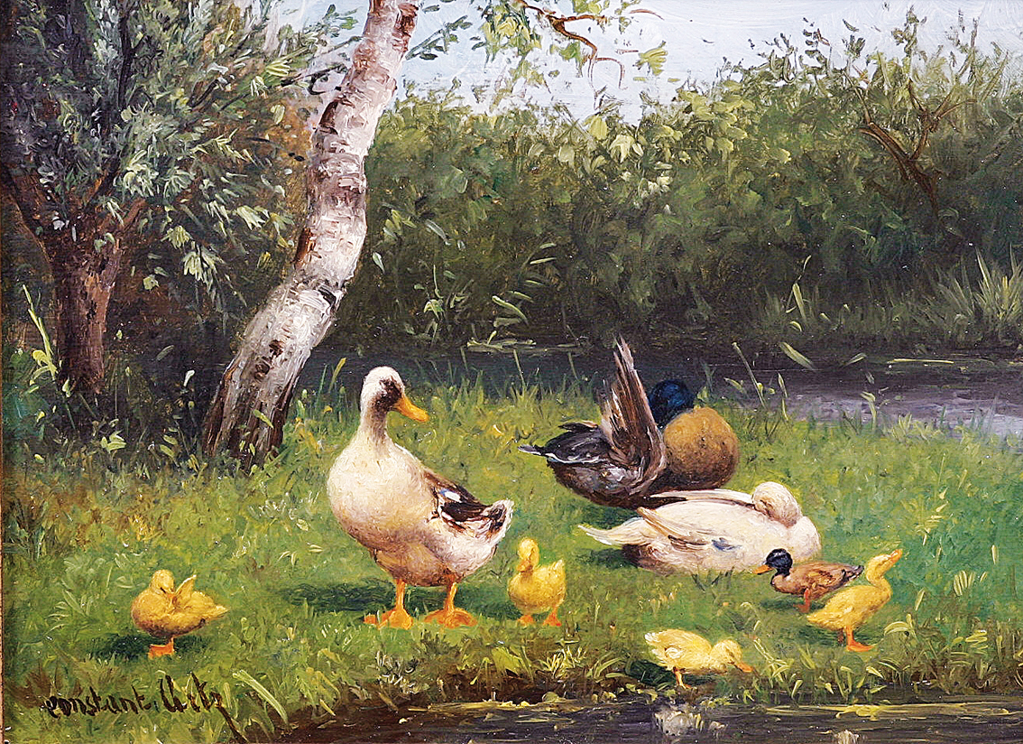 Ducks in the grass