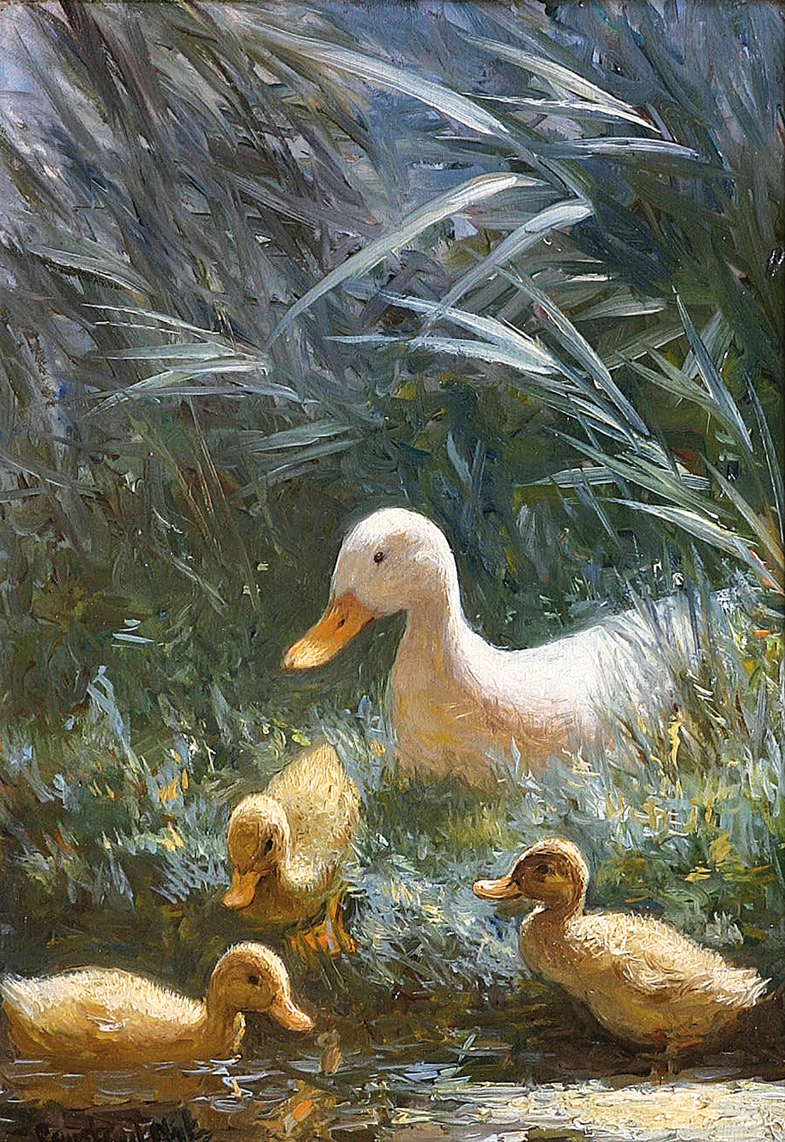 A duck with her ducklings on the lakeside